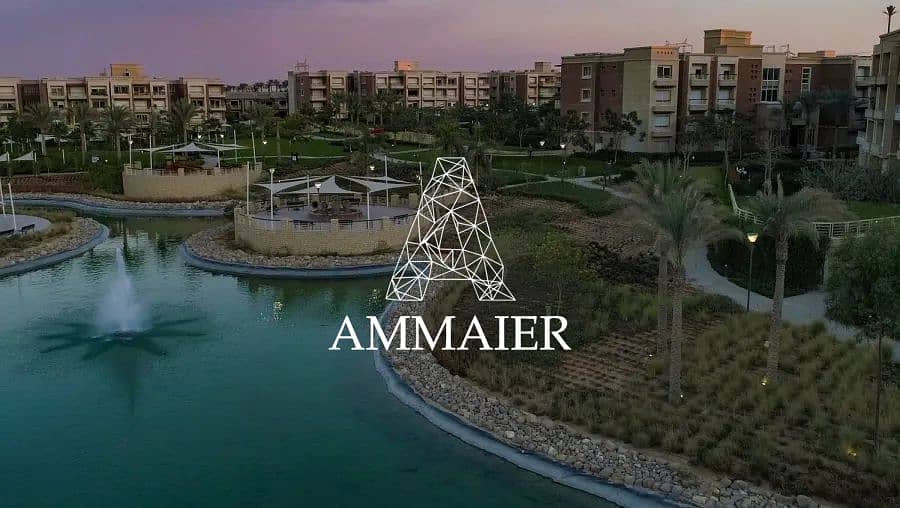 11 65b4c367-ba15-4df3-9e9f-2dc6c971644f. jpg