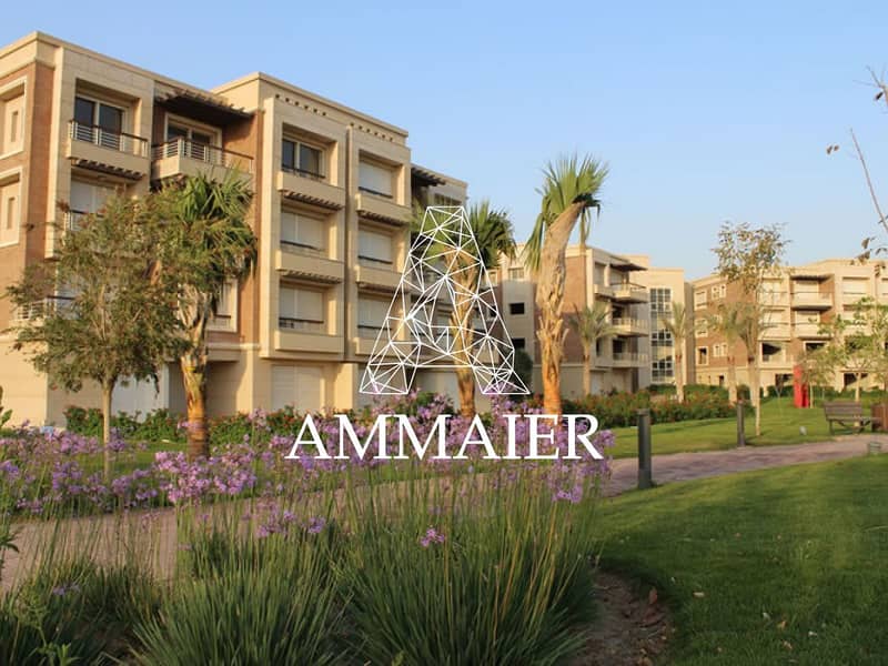 12 763c9d7b-2c6b-41ef-80dc-5f5fb9e07b6f. jpg