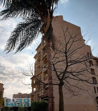 شقة 3 غرف نوم للايجار في مدينتي، القاهرة - Screenshot 2025-11-19 141233. png شقة 3 غرف نوم للايجار في مدينتي، القاهرة - Screenshot 2025-11-19 141233. png