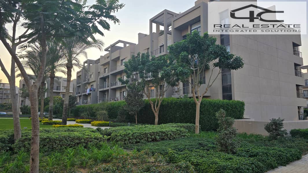 8 20251117_161457. jpg