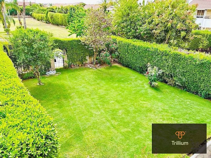 3 499137979_122224312766197794_3423173932978903367_n. jpg