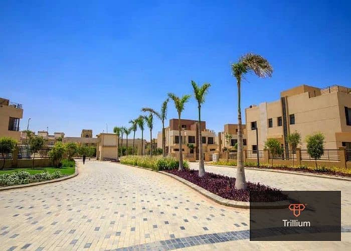 15 581182231_1296419955833871_3409865721885724621_n. jpg