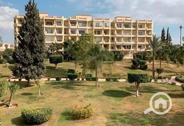 9 60cb78460ac8c462161046. png