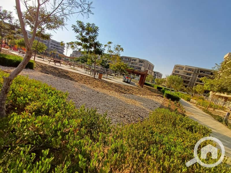 6 79c1d009-de3b-4cd7-877f-b0d6eba8523c. jpg