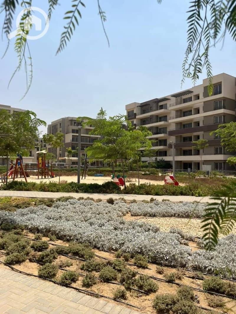 8 5524bcee-7109-46fe-91ca-866be6bde665. jpg