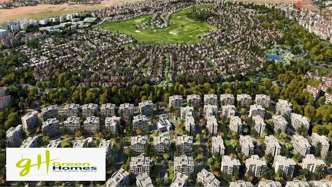 4 473800330_122185178030117576_5396570468532478817_n. jpg