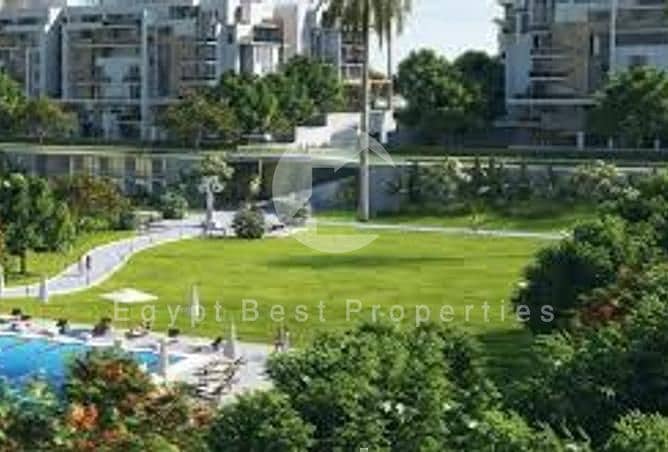 4 42985455-6615-4223-8eb5-056ffe29b0dd. jpeg