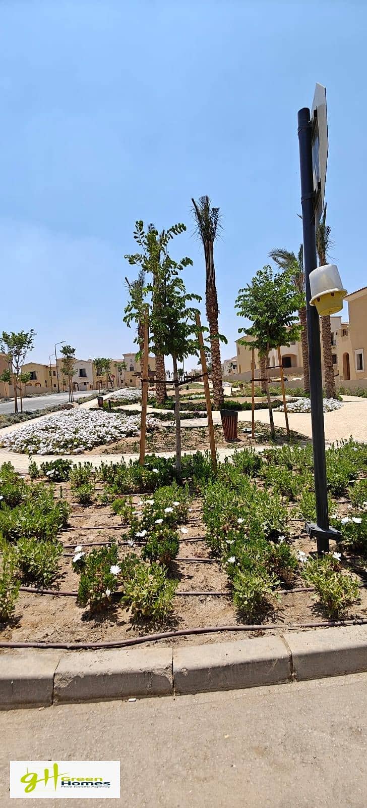 3 540970928_122154009518603813_4587363409325335399_n. jpg