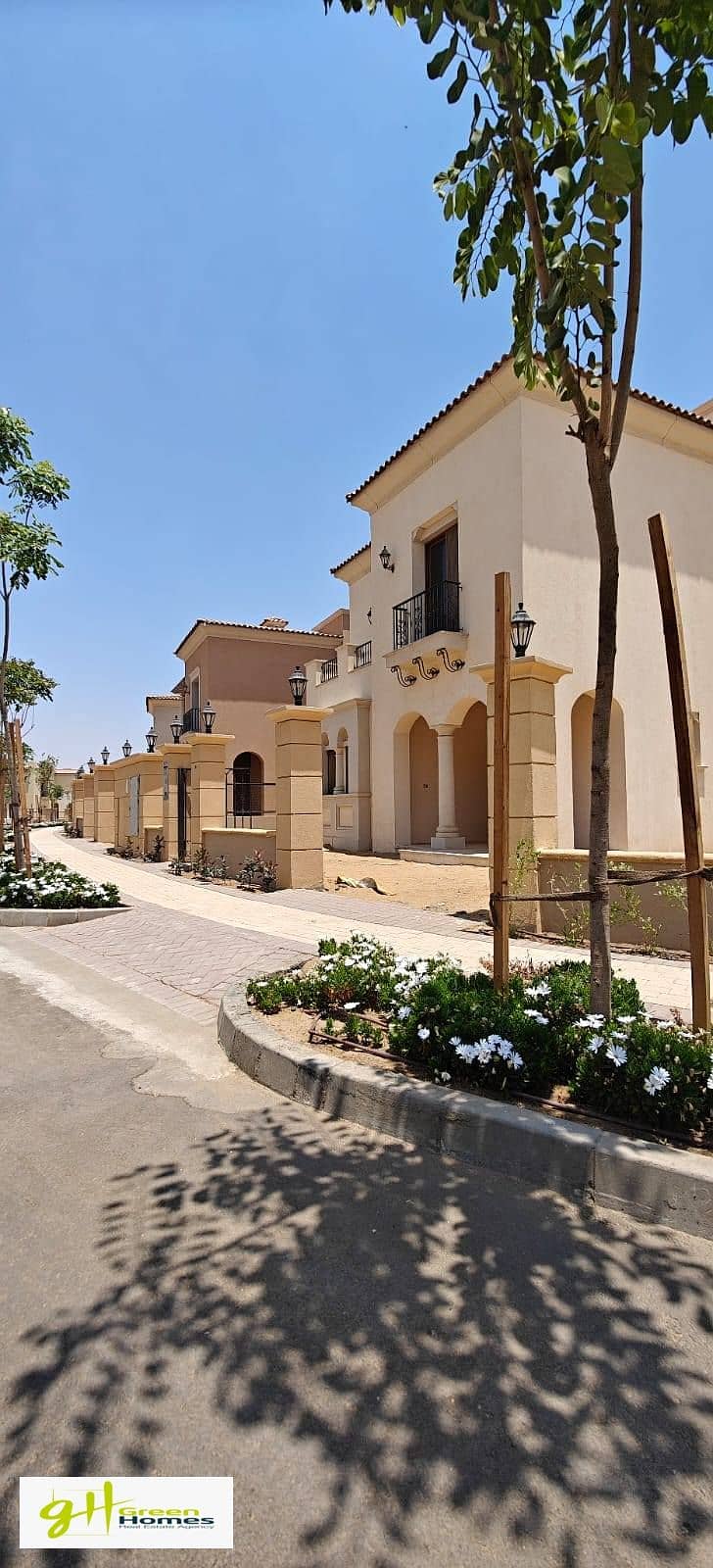 7 542487158_122154009470603813_8721465223335149457_n. jpg