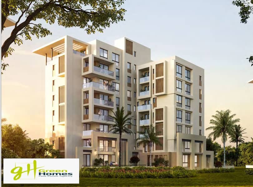 5 494056439_10163235437419180_6966697163531242802_n. jpg