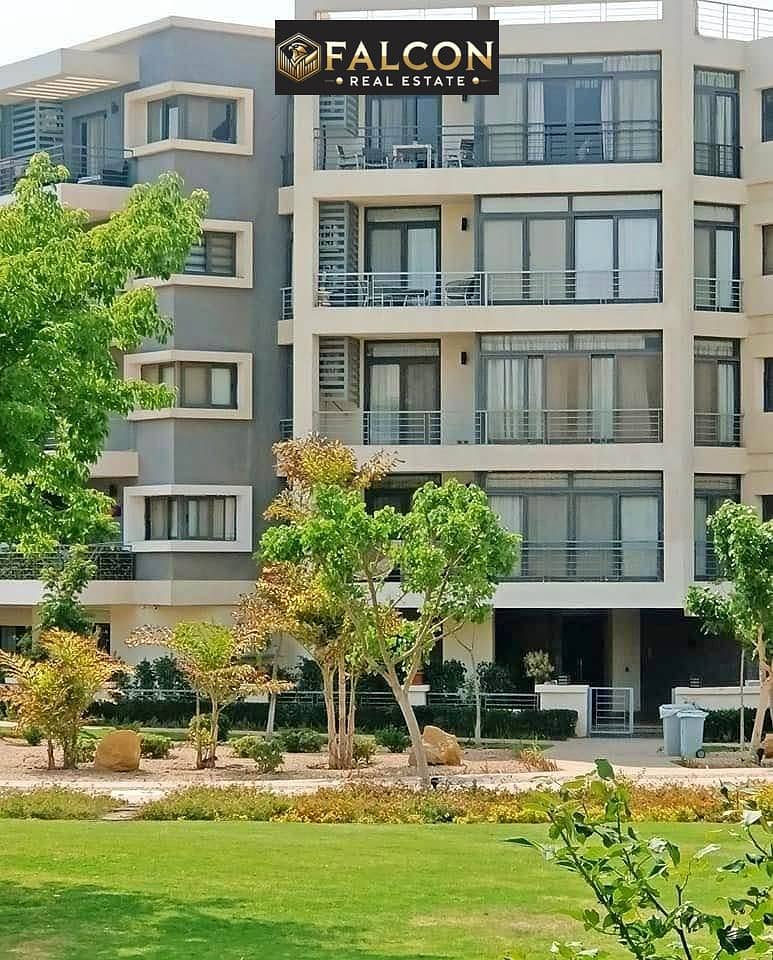 10 375236729_24218796304372297_5703713886416289006_n. jpg