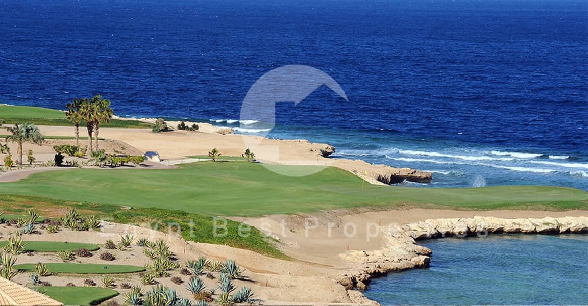 5 cover_6412777956. jpg