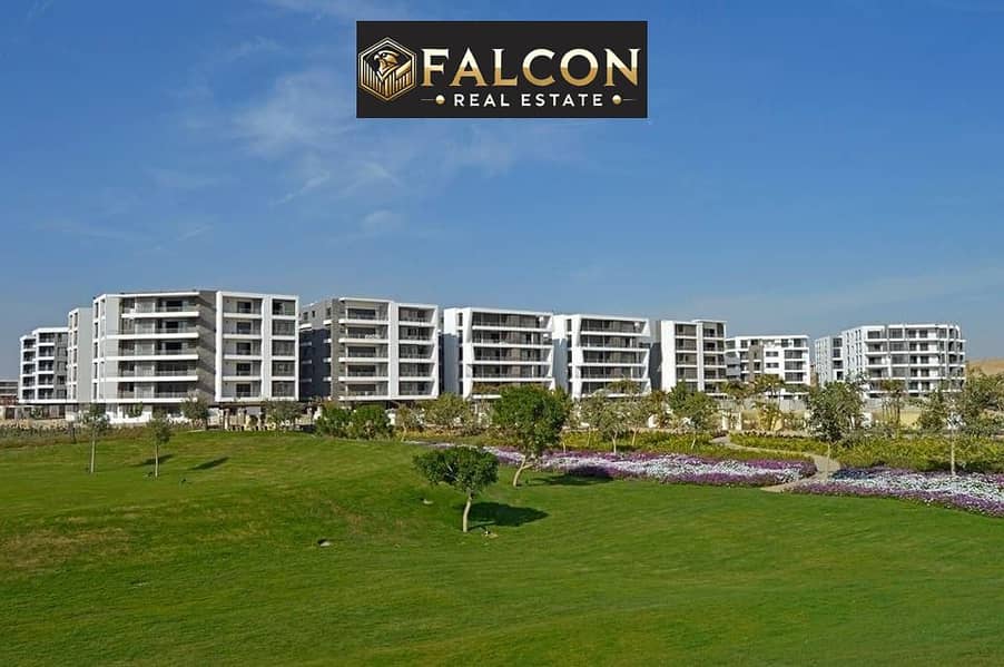 2 598a077e-fa89-466b-8276-62fec1e15583. jpeg