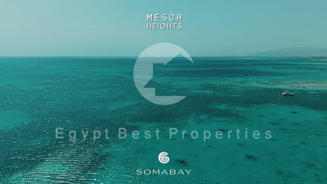 9 WhatsApp Image 2025-11-19 at 3.03. 30 PM. jpeg