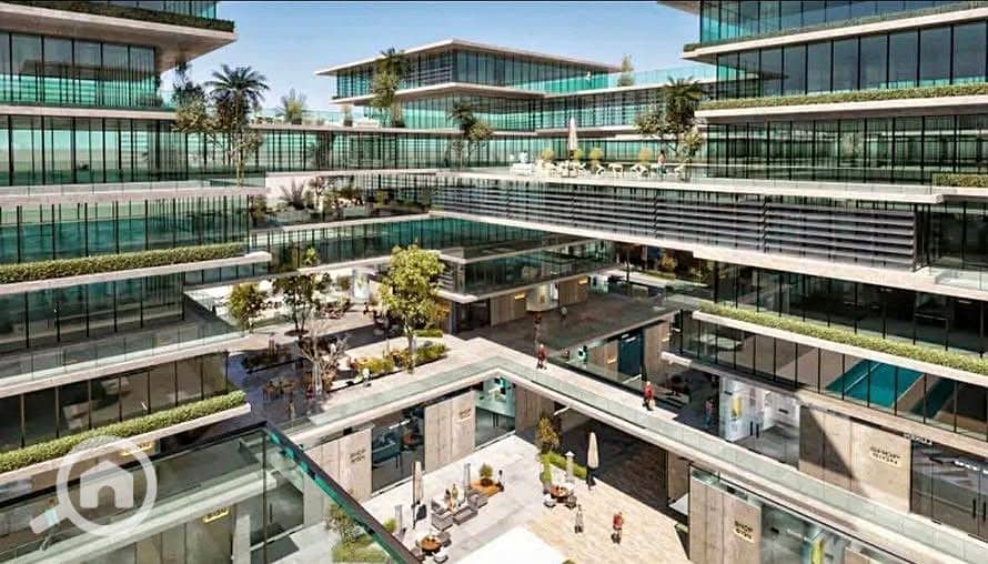 4 573856323_974645168211656_3213717450541195295_n. jpg