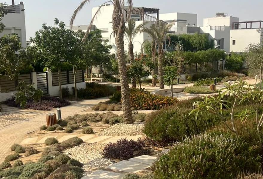 6 ccd02744-6c00-453b-acb1-8c1448a26469. jpg