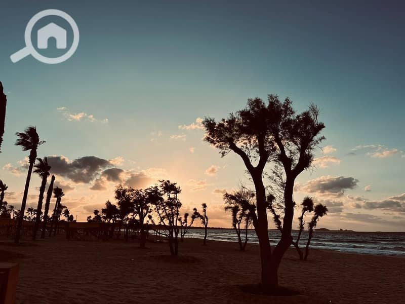 7 WhatsApp Image 2025-08-07 at 4.49. 58 PM (2). jpeg