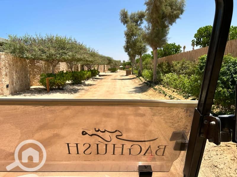 8 WhatsApp Image 2025-08-07 at 4.49. 57 PM. jpeg