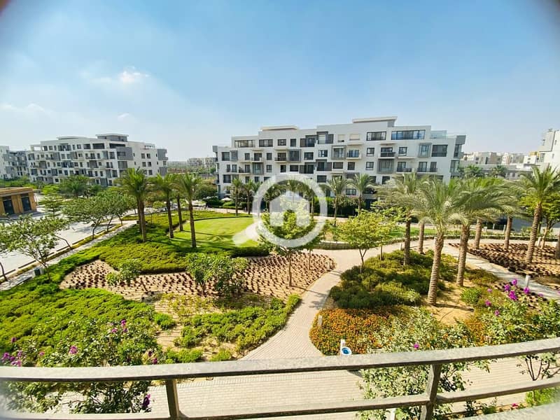 13 19da725b-8af9-4abc-9934-f631e7e122d3. jpeg