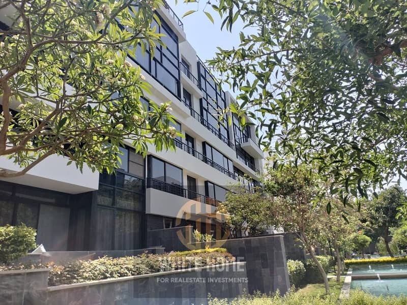 18 4c7a707a-dd50-4c3d-8c8c-da8b83ca8e5c. jpeg