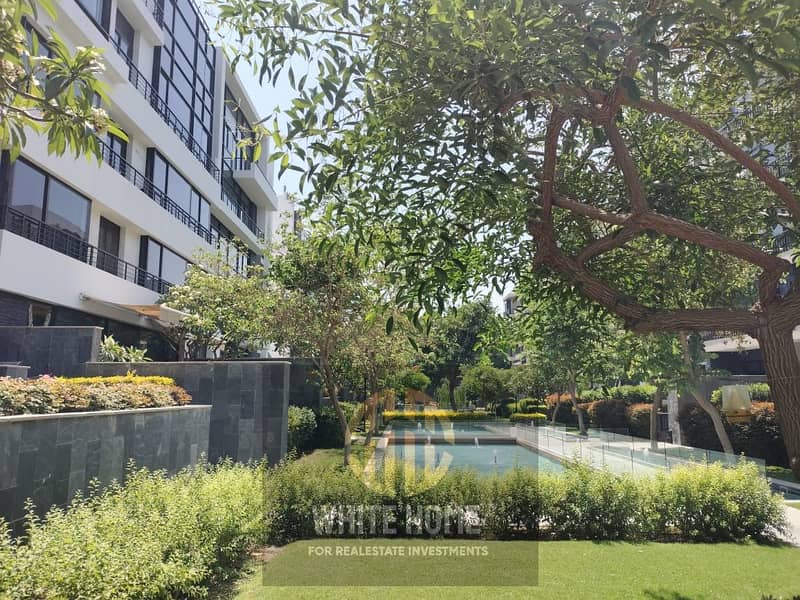 21 f4a35ce6-b18f-4420-97a2-6cf03ef4da5e. jpeg