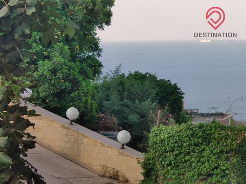 4 4521cfc3-2056-4acb-bb13-48daf0191ce9. jpeg