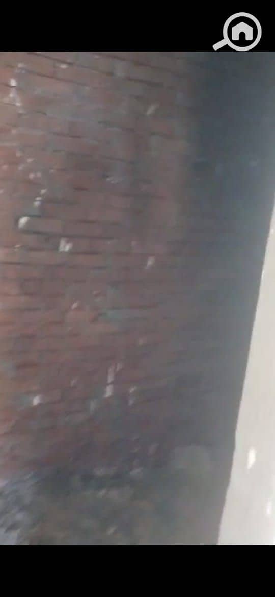 3 IMG-20251119-WA0217. jpg