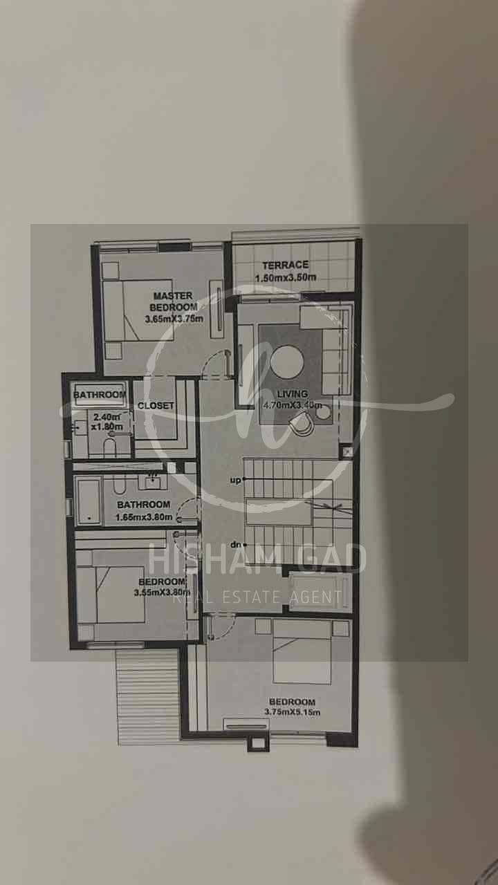 5 c846404d-09a7-4da5-ba5b-549ecf01aa84. jpg