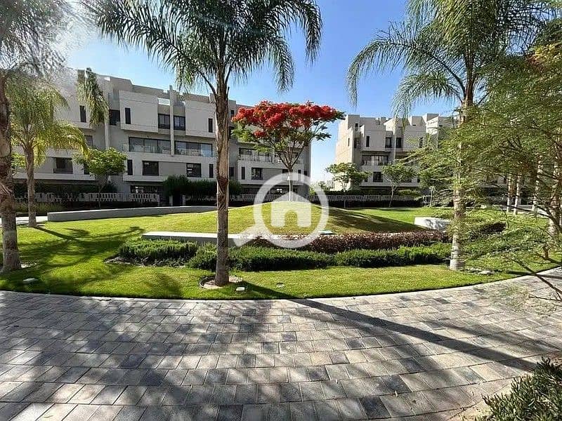 3 30776393-800x600. jpg