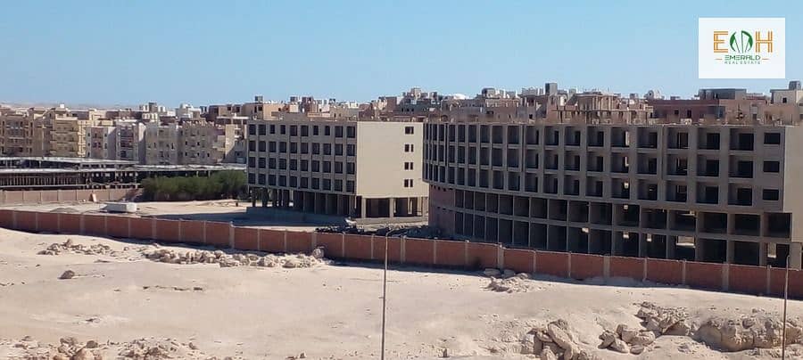 9 WhatsApp Image 2025-09-12 at 21.57. 29 (3). jpeg