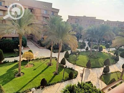 فلیٹ 3 غرف نوم للايجار في القاهرة الجديدة، القاهرة - IMG_1322. jpg