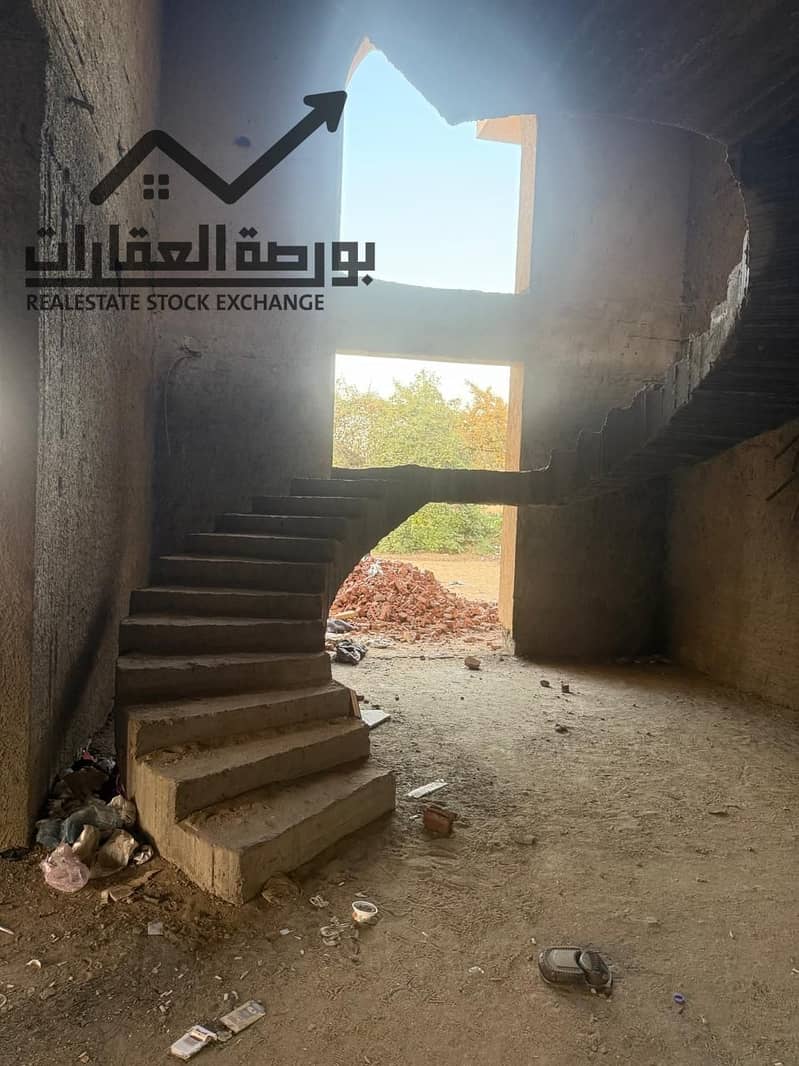 13 bfa94bb5-786f-4167-86e0-5ae3022b5b33. jpg