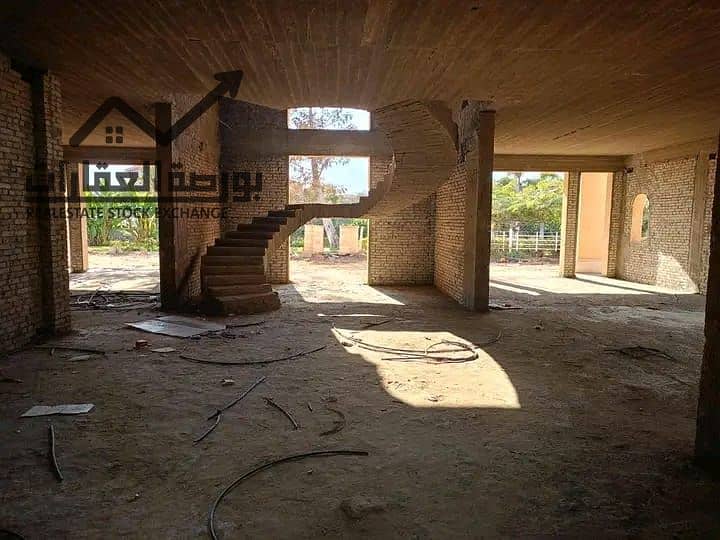 16 d20688a3-05c2-48a5-9e20-329f9669a312. jpg