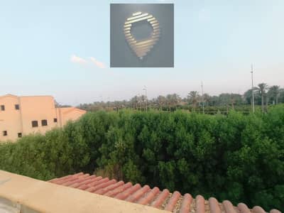 3 Bedroom Villa for Sale in Madinaty, Cairo - WhatsApp Image 2025-10-15 at 12.53. 15_4fd75bbb. jpg