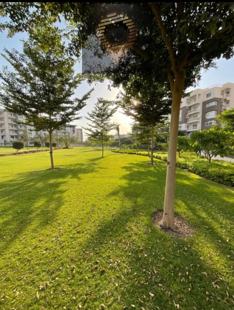 2 WhatsApp Image 2025-11-17 at 11.59. 26_5e85bc6b. jpg