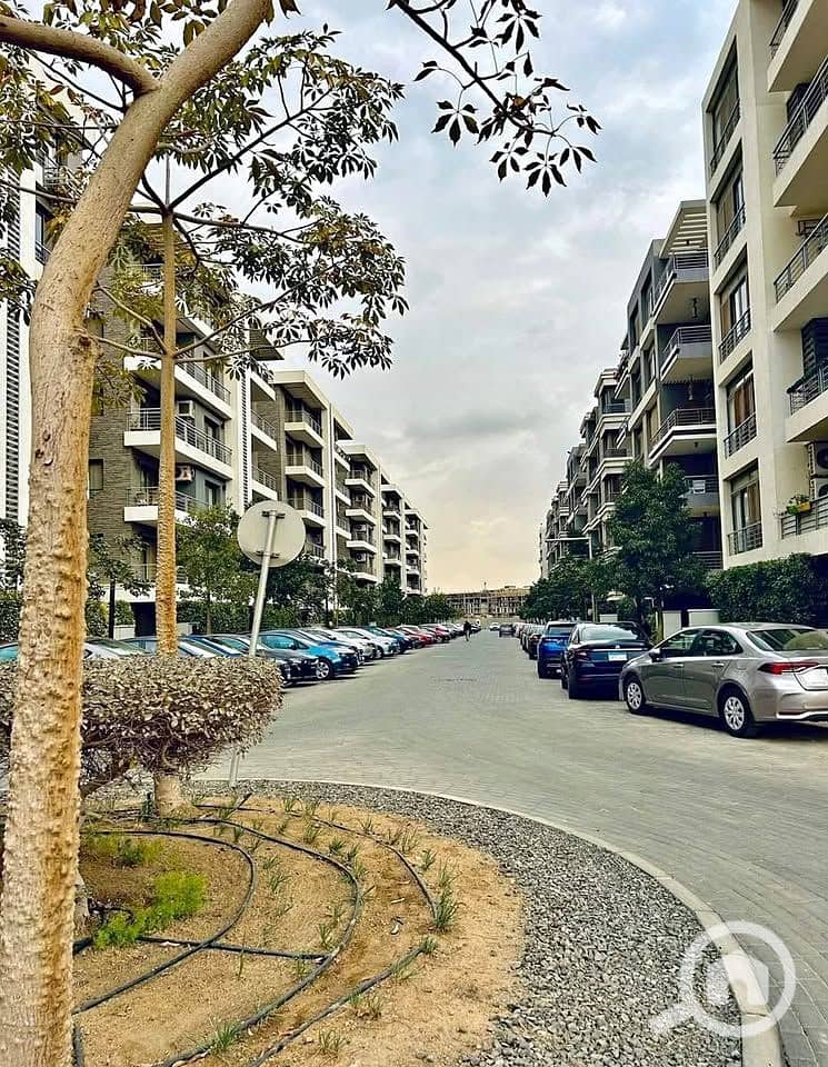 465564054_1280236976506943_5838020657916807420_n. jpg