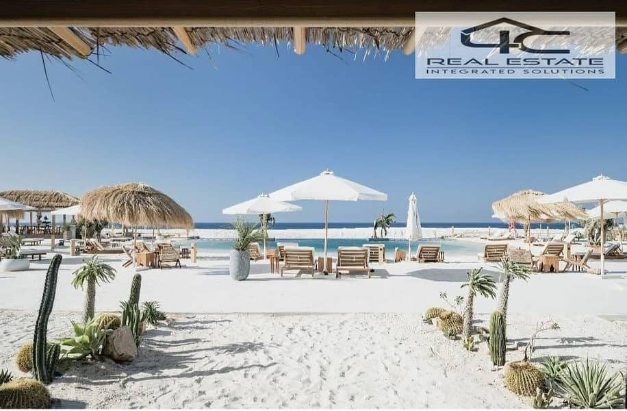 3 WhatsApp Image 2025-11-18 at 2.44. 37 PM (1). jpeg