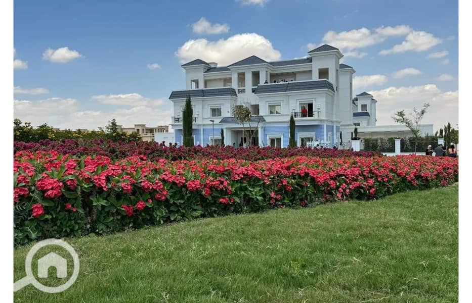 3 8156229-0bef1o. jpg