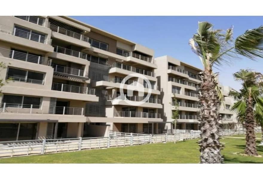 6 8081842-79d62o. jpg