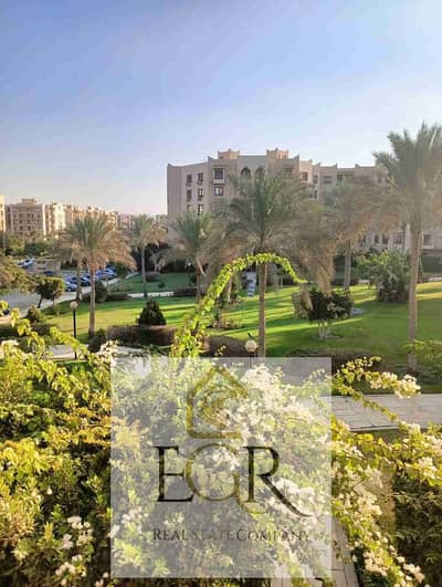 شقة 2 غرفة نوم للايجار في القاهرة الجديدة، القاهرة - 120292. jpg شقة 2 غرفة نوم للايجار في القاهرة الجديدة، القاهرة - 120292. jpg