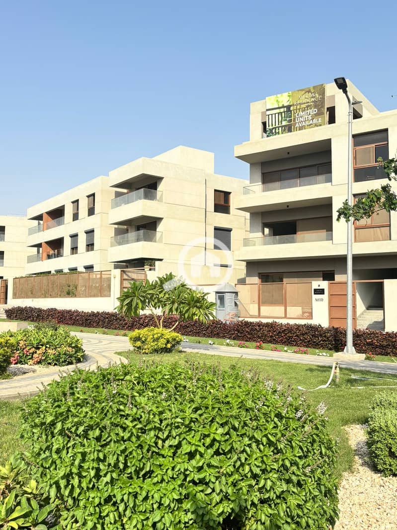 10 WhatsApp Image 2025-08-11 at 19.08. 05_d3f3b261. jpg