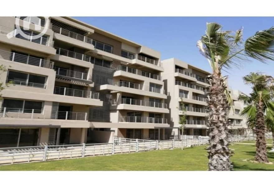 8 8081842-79d62o. jpg