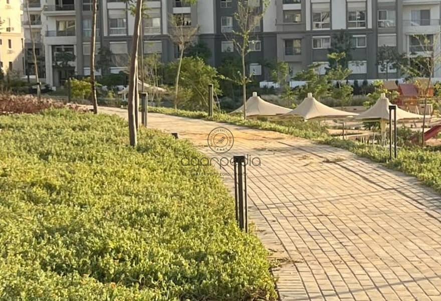 4 6cf7d416-c717-41f3-bf76-3f8c4d7dc547. jpg