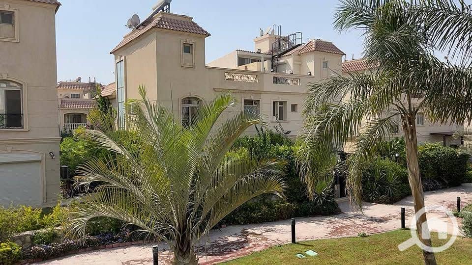 10 518181825_24162865640014598_6673271974933880527_n. jpg