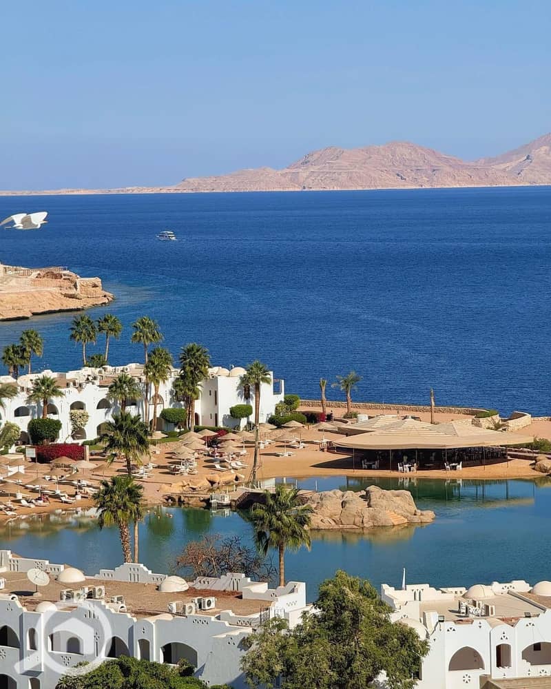 0d5e8a4c-76d6-4f62-8643-3f2b7b7c8fea. jpg