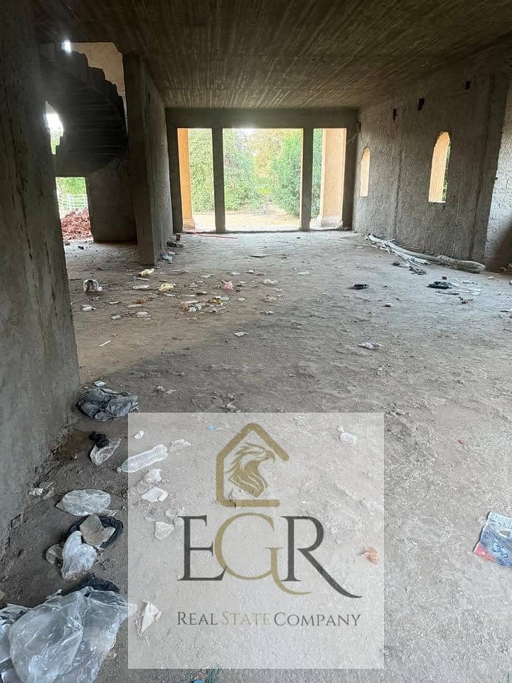 11 584991119_2497458237317871_1711951181978576845_n. jpg