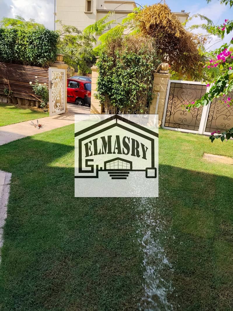 12 85feb048-b15e-4c54-96f9-447c49585ed5. jpeg