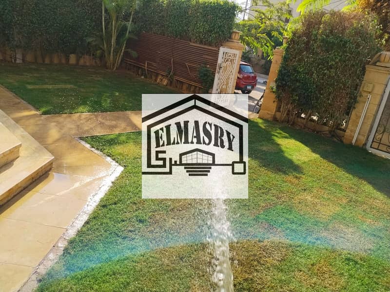 16 971b8084-1535-44a2-a6c2-2a9b13099d40. jpeg