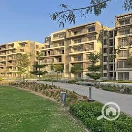 9 517176362_122253751406035933_3895948091185181852_n. jpg