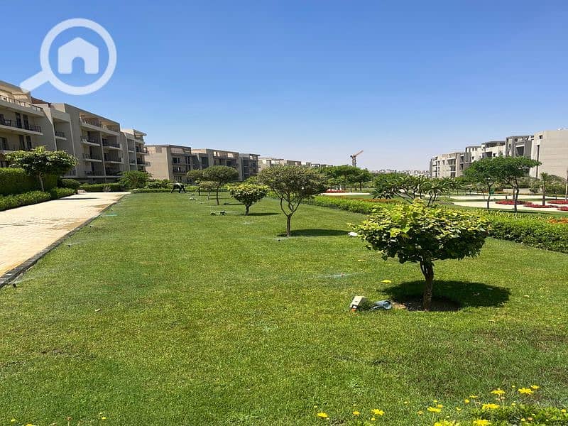 7 297021ea-7242-498e-bf7f-202463464181_800x600. jpg